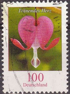ALEMANIA 2005 Scott 2320 Sello Flora Flor Tränendes Herz (Bleeding heart) Usado  Michel 2547Allemagne Duitsland Germania Germany Alemagne Deutschland 